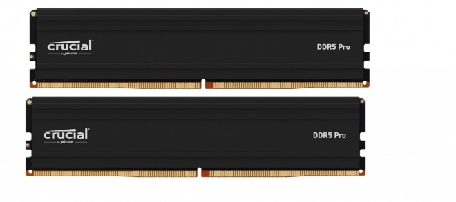 Paměť DDR5 Pro 48GB/ 6000 (2*24GB) (24Gbit)