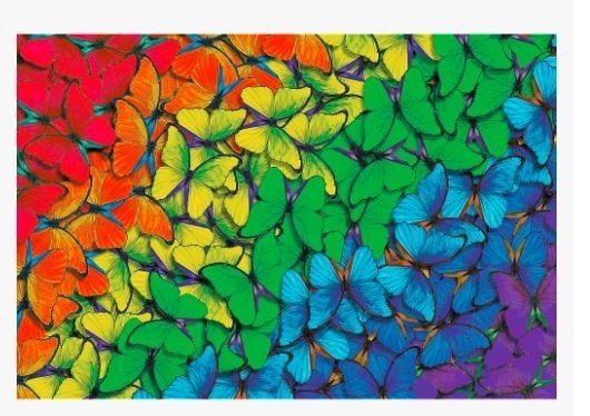 Dřevěné puzzle Trefl Wood Craft Duhoví motýli 501 dílků