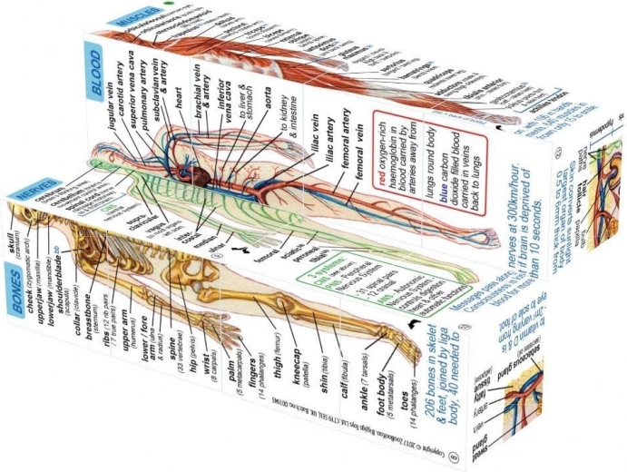 Jasné ilustrace a popisky