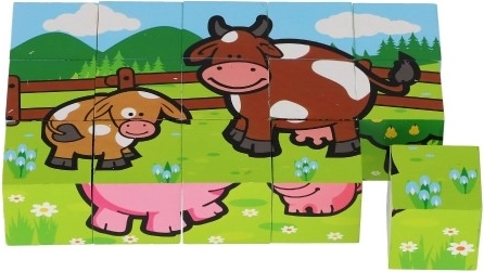 Rovnováha a příčina-následek