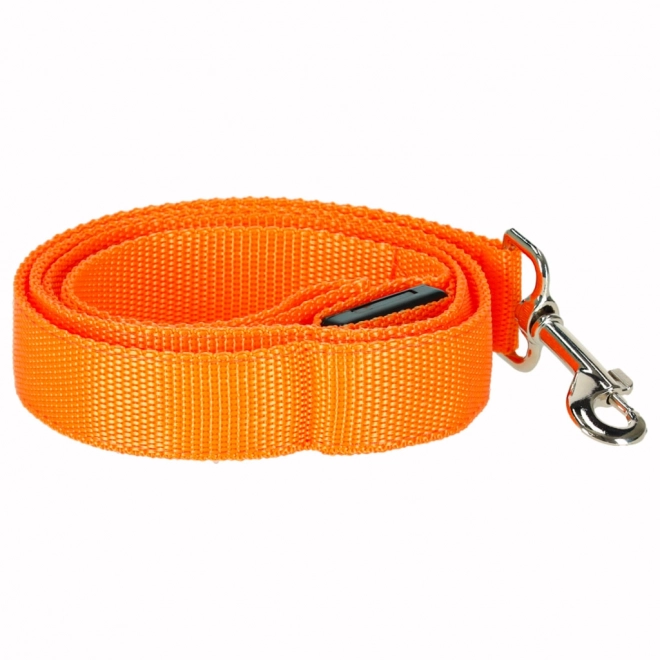 Oranžové LED svítící vodítko pro psy