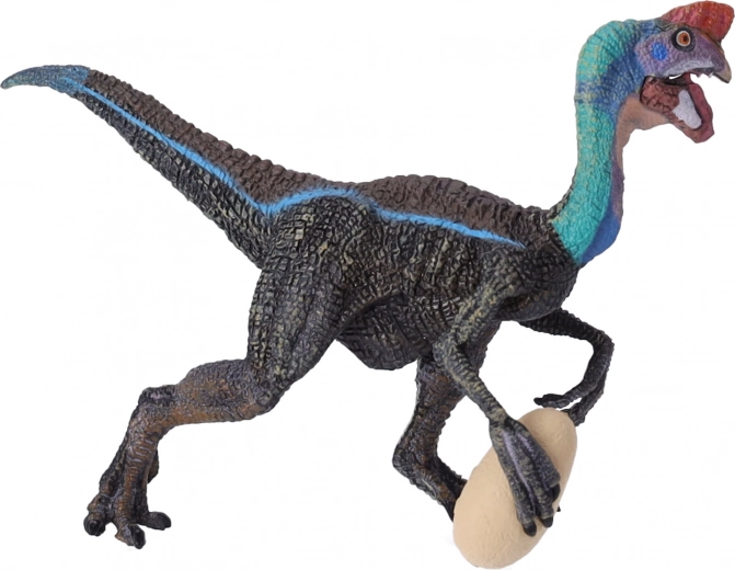 Ideální pro vzdělávání i sbírku