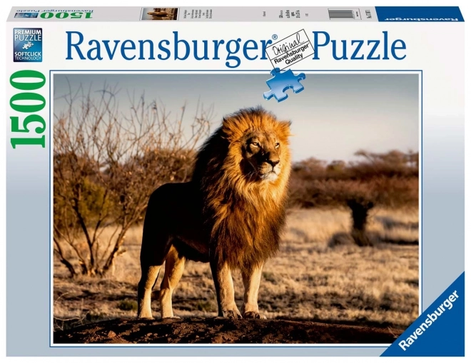 Puzzle 1500 prvků Lion
