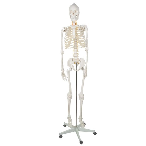 Mobilní a flexibilní