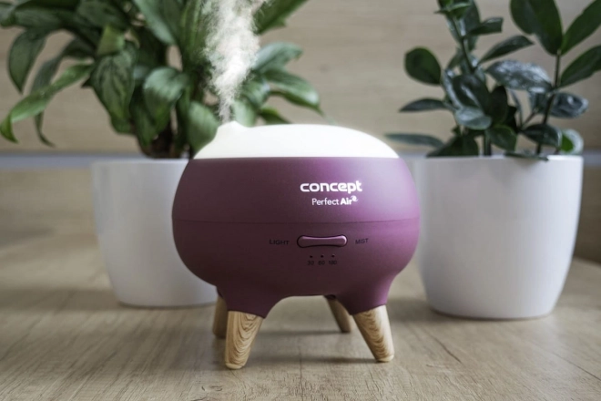 Aromatický difuzér Concept Perfect Air Berry