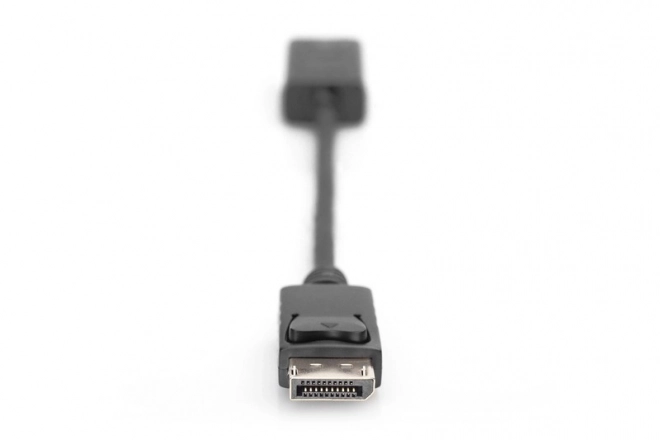 Adaptační kabel DisplayPort s klipem 1080p 60Hz FHD Typ DP/HDMI A M/Z 0,2 m černý
