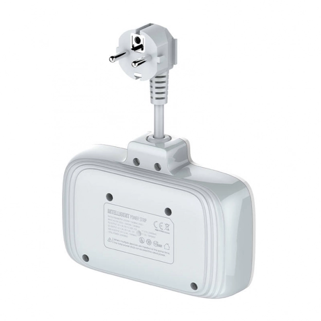 Napájecí lišta s 2 zásuvkami AC, 3x USB, USB-C, LDNIO SE2435, 2500W (bílá)