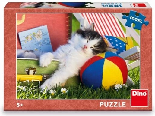 Roztomilý motiv koťátka