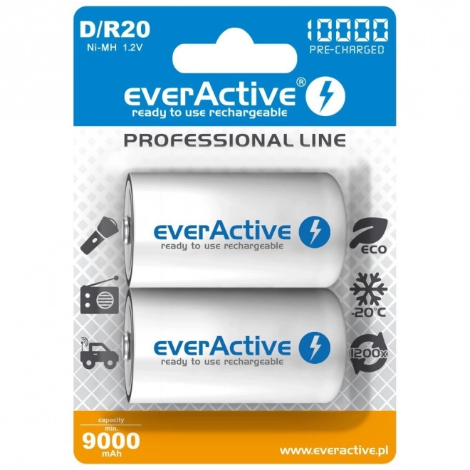 Nabíjecí baterie R20/D NI-MH 10000 mAh 2 ks připravené k použití