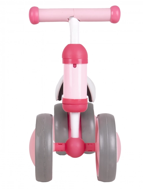 Balanční mini kolo Ecotoys