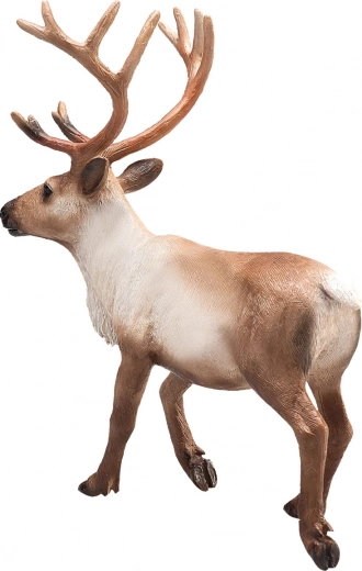 Věrné detaily a realistické zbarvení