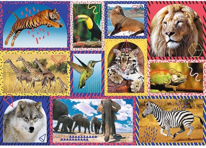 Kvalitní provedení a živé barvy