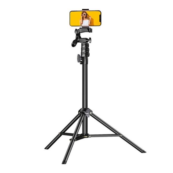 Bezkonkurenční stabilita
