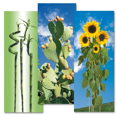Levně Gimi bavlněný potah na žehlicí prkno i love s/m 129 × 48 cm