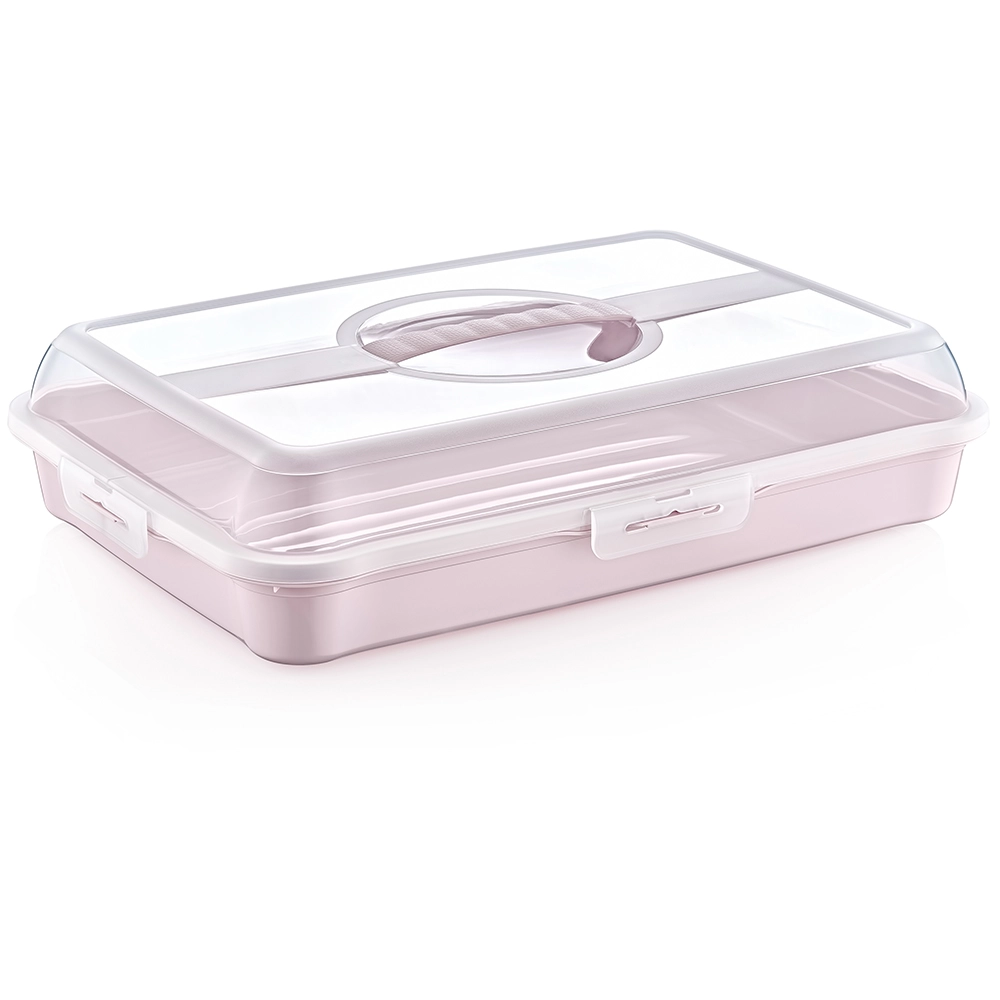Levně Enrico box PARTY 43x29,5x10,5cm sev.růž. plast