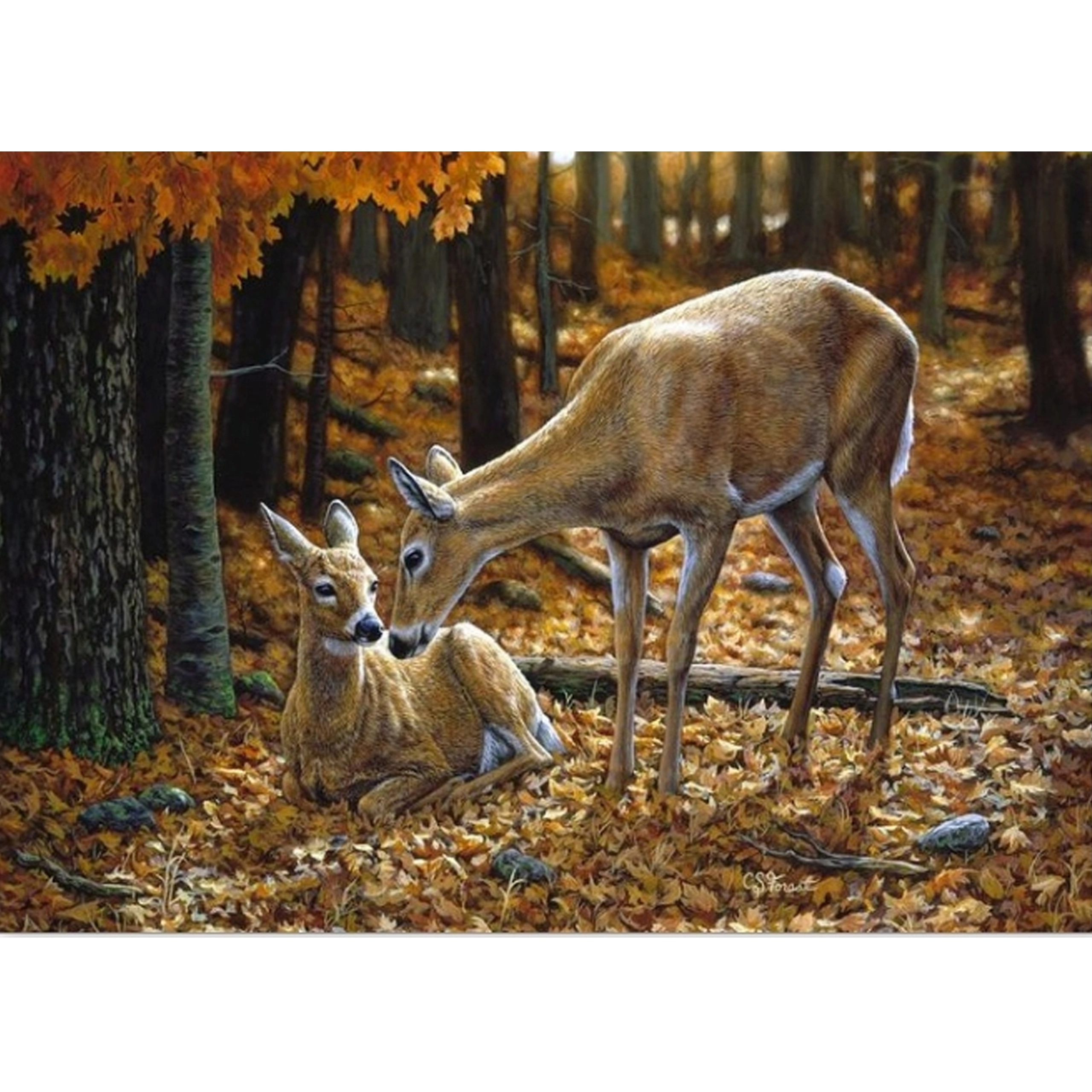 Levně Diamantové malování s rámem 30 × 40 cm – srnky