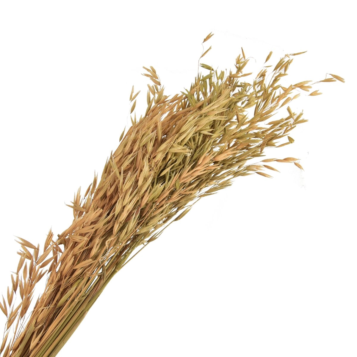 Levně Sušené obilí béžové – dekorativní svazek 90–100 cm