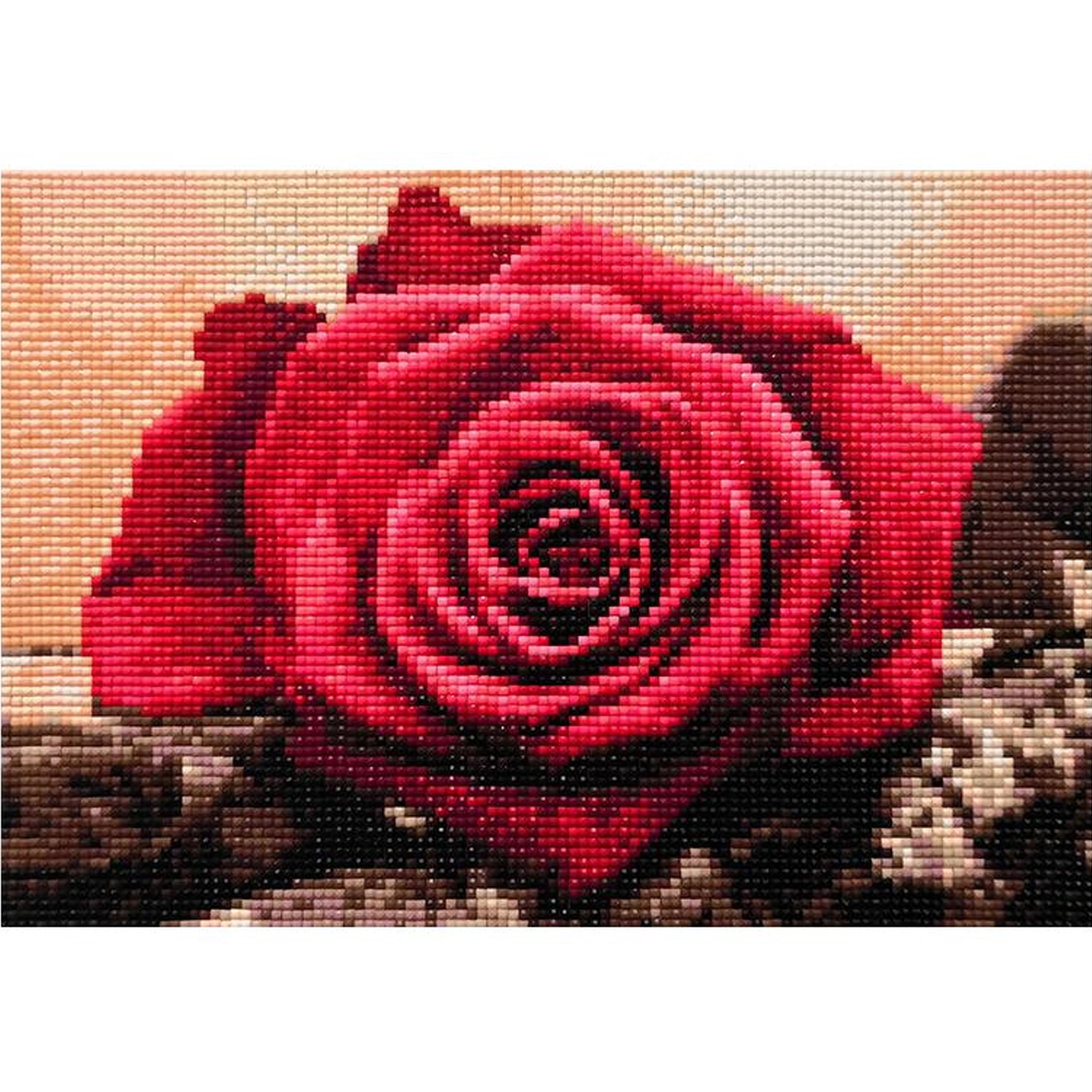 Levně Diamantové malování s rámem 20 × 30 cm – růže