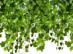 Umělý břečťan girlanda 25,2m