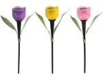 Solární zahradní lampa tulipán s LED, mix barev