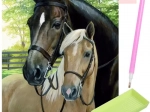 Sada na diamantové malování - koně