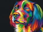 Malování podle čísel - Pes v barvách