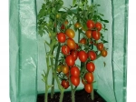 Zahradní fóliovník 100 × 50 × 150 cm