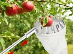 Teleskopický česáček na ovoce 4 m se 4 nástavci