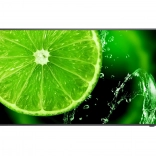 Monitor 32" FHD MultiSync E328-2 pro digitální signage