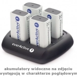 Nabíječka akumulátorů EVERACTIVE NC-109 pro Ni-MH 9V