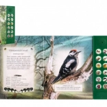 Zvuková kniha Ptáci našich lesů