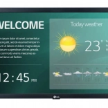 LG 22" profesionální monitor 22SM3G