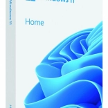 Windows 11 Domů 64bit USB Flash Drive